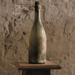 Шампанское Perrier-Jouet 1874 продано на аукционе