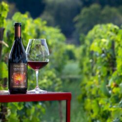 В Этне появилось 9 новых винодельческих регионов