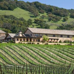 Калифорнийские виноделы об урожае 2022 года